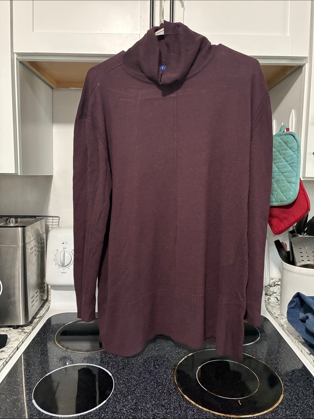 Women’s Long-Sleeve Turtleneck Sweater in Deep Plum